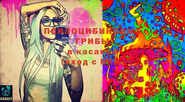 a pvp Алзамай