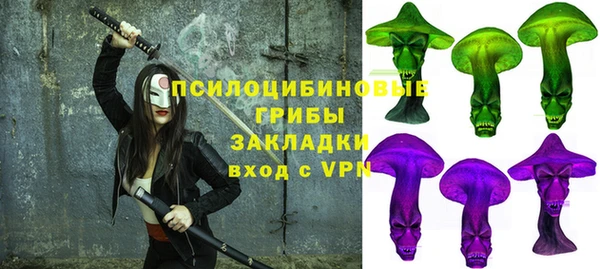 a pvp Алзамай