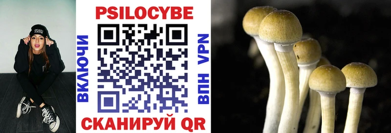 хочу   kraken ССЫЛКА  дарк нет телеграм  Анапа  Псилоцибиновые грибы Psilocybine cubensis 